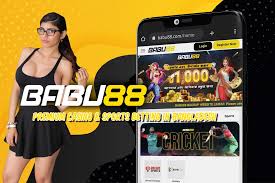 Babu88 Gambling Enterprise: Ports, Table Games, Live Dealers