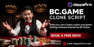 BC Video Game Online Casino & Sports Betting in India