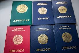 Быстрый заказ документа как получить нужный документ за минимальное время
