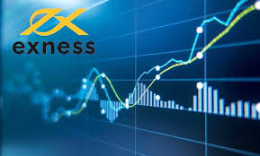 Understanding the Exness Server List for Enhanced Trading